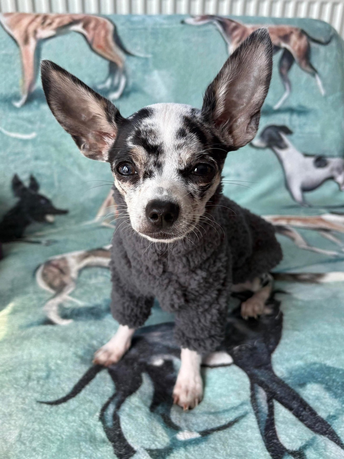 Cuddle Fur Fleece Jumper - Grey