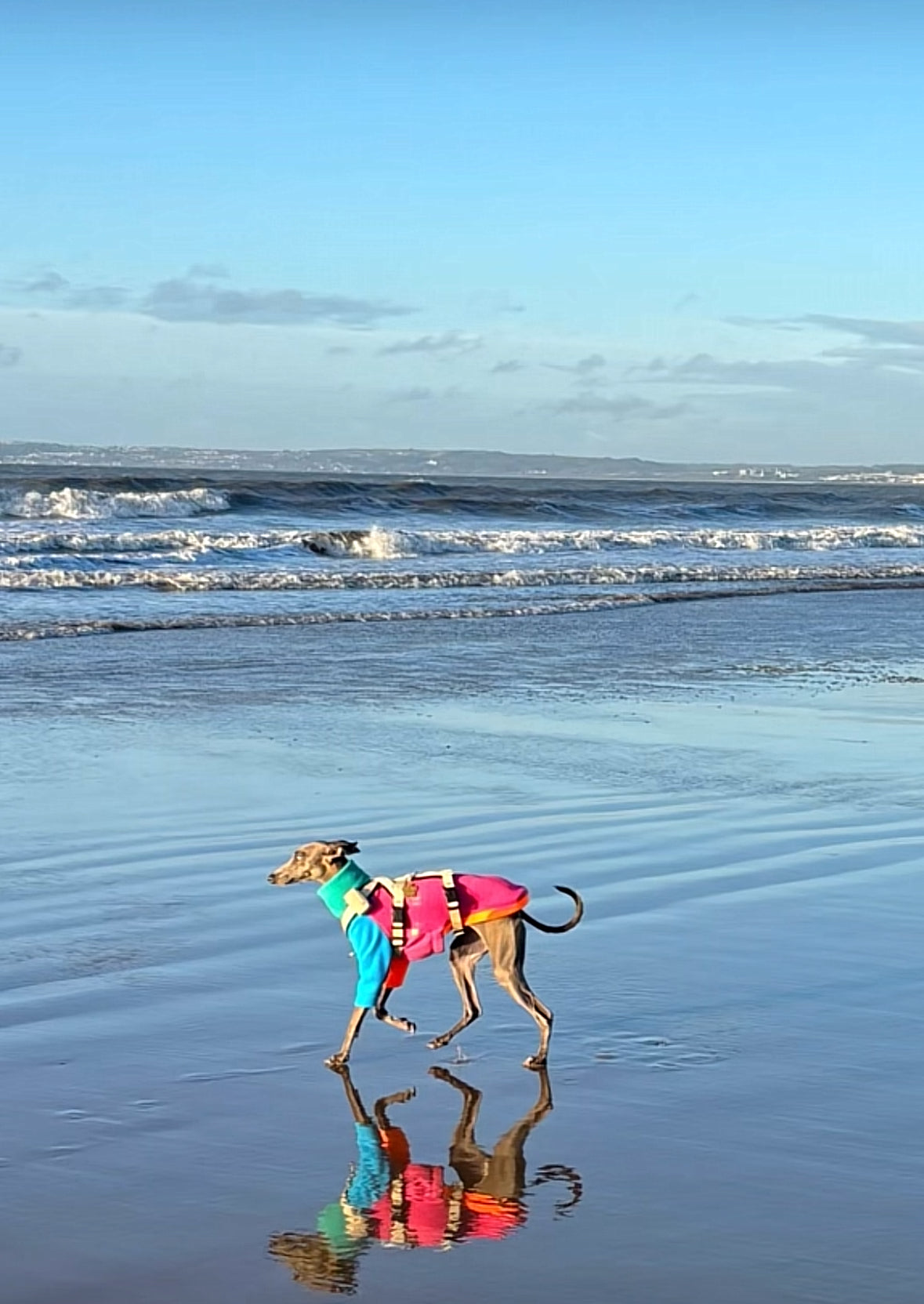 Fleece Jumper - Neon Colour Block