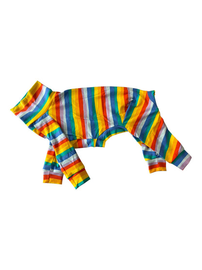 Jersey Suit - Rainbow Stripe