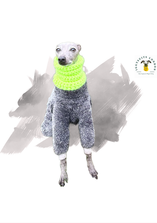 snoods for italian greyhounds and whippets.