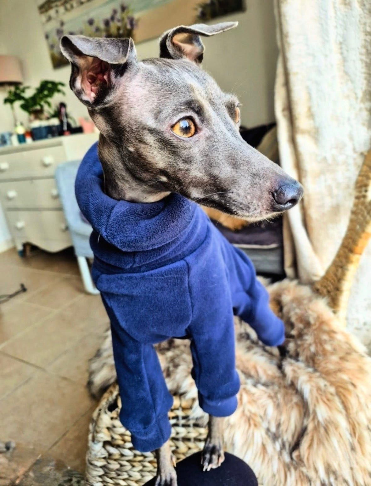 Ultra-Stretch Fleece Suit - Navy Blue