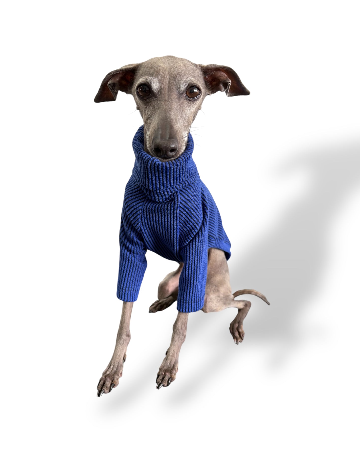 Ribbed Jersey T-Shirt - Royal Blue