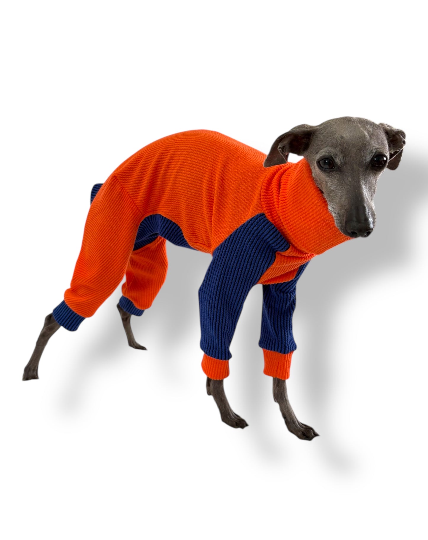 Ribbed Jersey Suit - Orangina