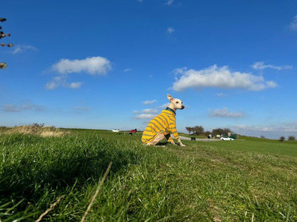 Ribbed Jersey T-Shirt - Lilac Stripe