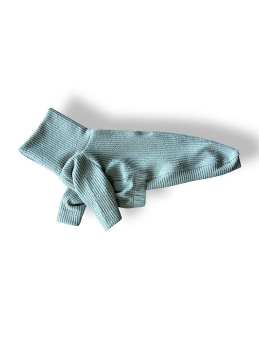 Ribbed Jersey Puppy T-Shirt - Sage