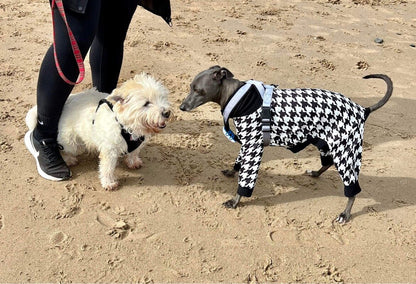 Scuba Jersey Suit - Dogtooth