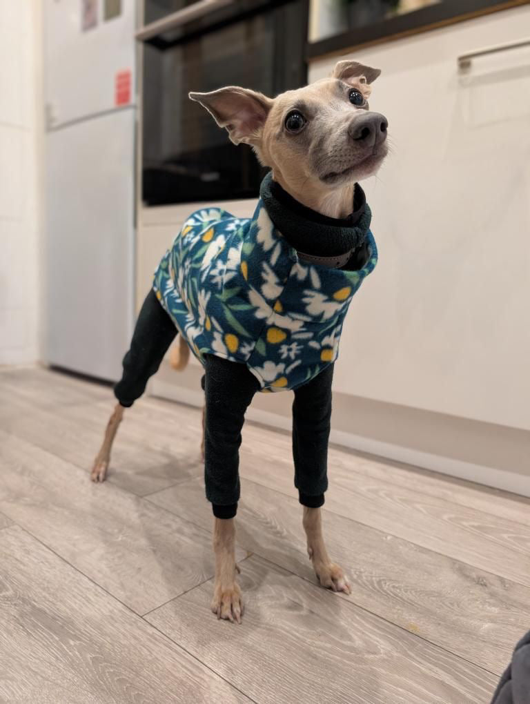 Fleece Vest - Flower Power Daisies