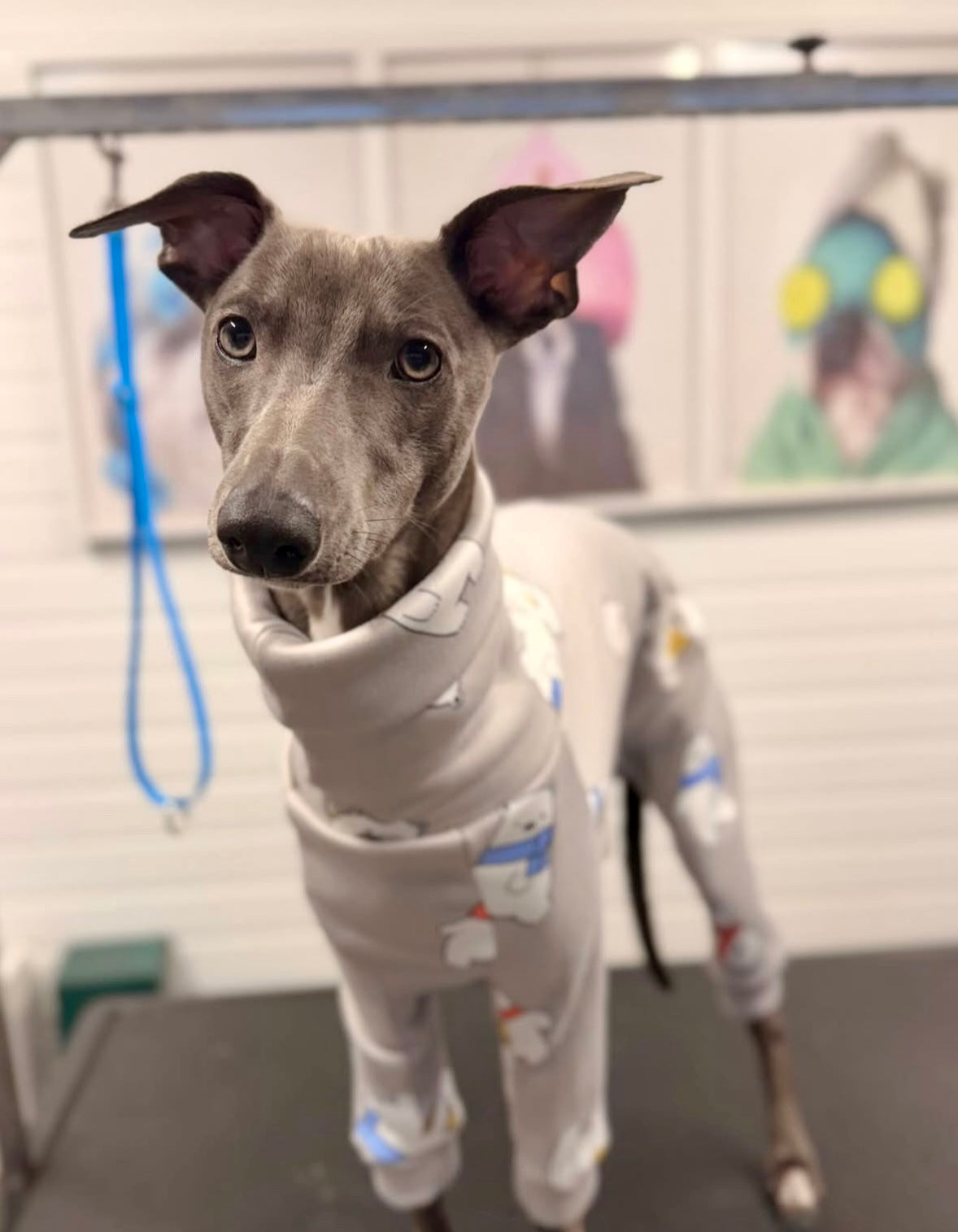 Fleece Lined Sweatshirt - Polar Bears