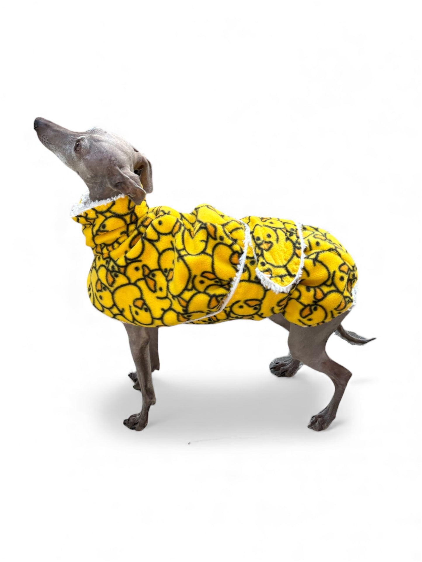 Dressing Gown - Rubber Duckies