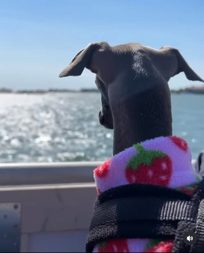 Fleece Vest - Strawberry Dream