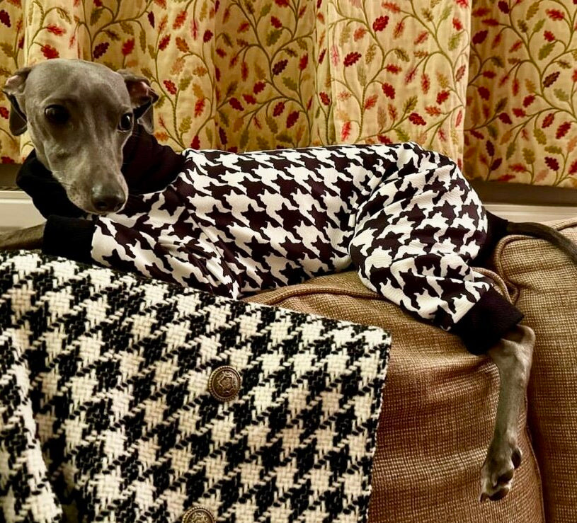 Scuba Jersey Suit - Dogtooth