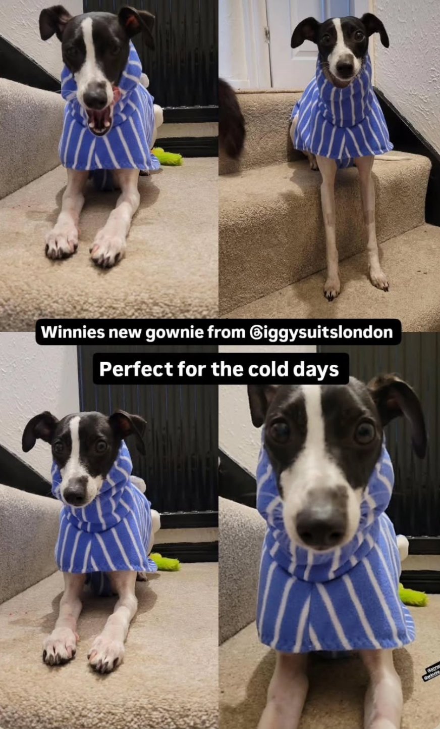 Dressing Gown - Blue Stripe