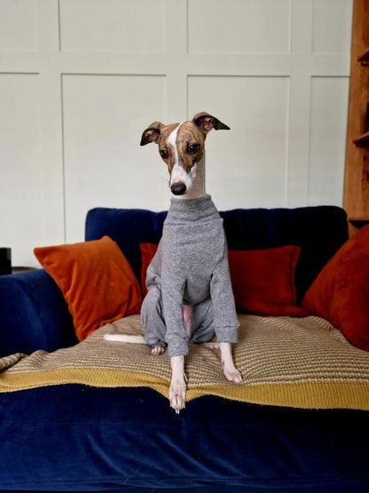 Puppy Fleece Lined Sweatshirt - Grey