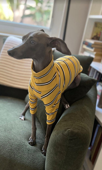 Ribbed Jersey T-Shirt - Lilac Stripe