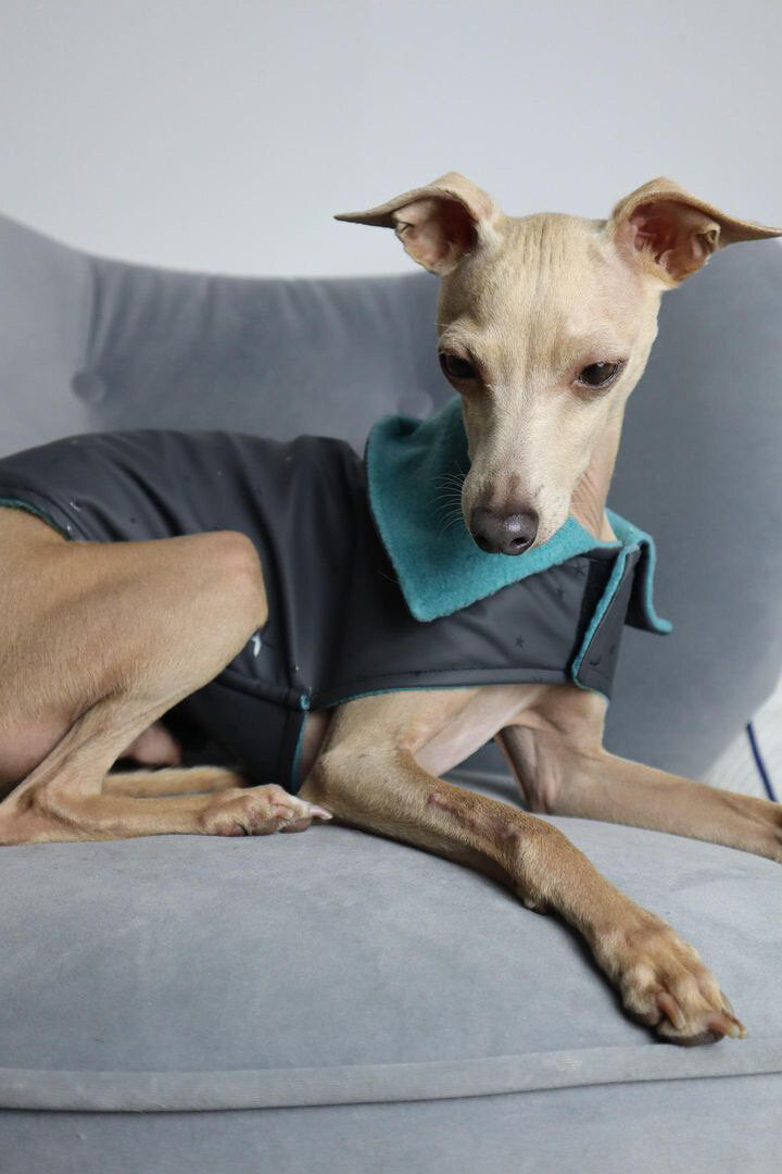 Rain Mac - Pink Submarines & Boucle Fleece Lining