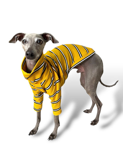 Ribbed Jersey T-Shirt - Yellow Stripe