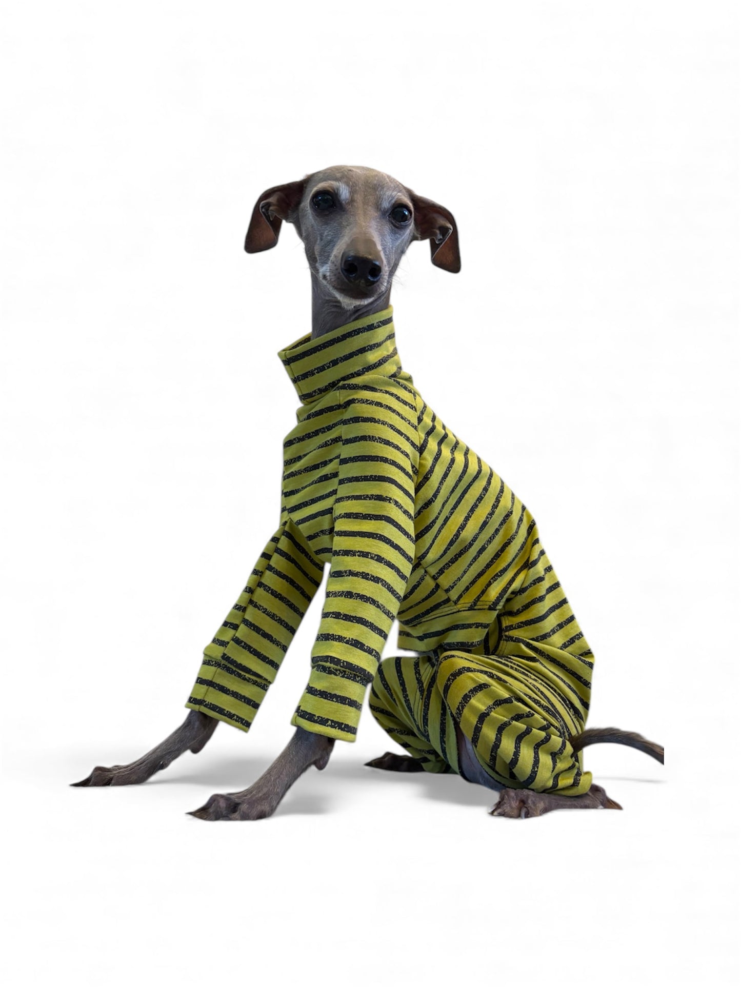 Jersey Suit - Green & Black Urban Stripe