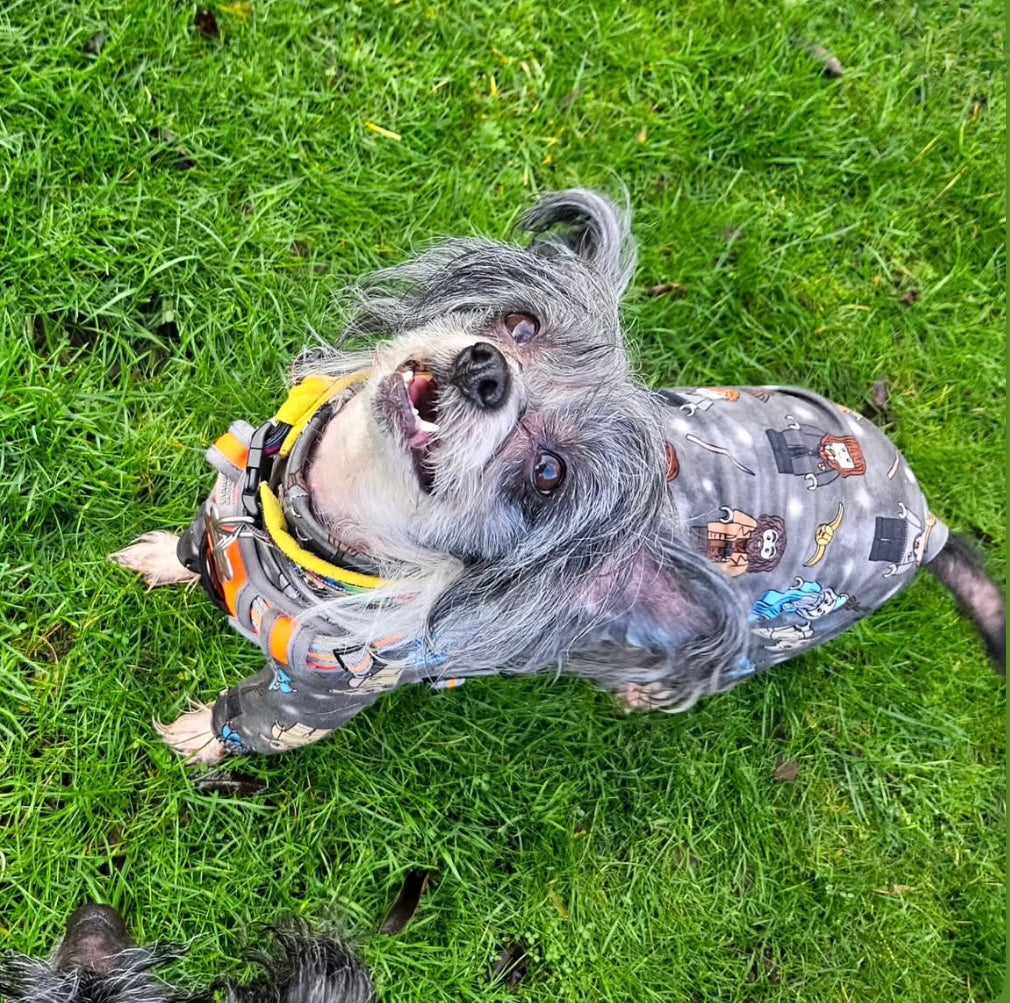 Jersey Suit - Lego Harry Potter