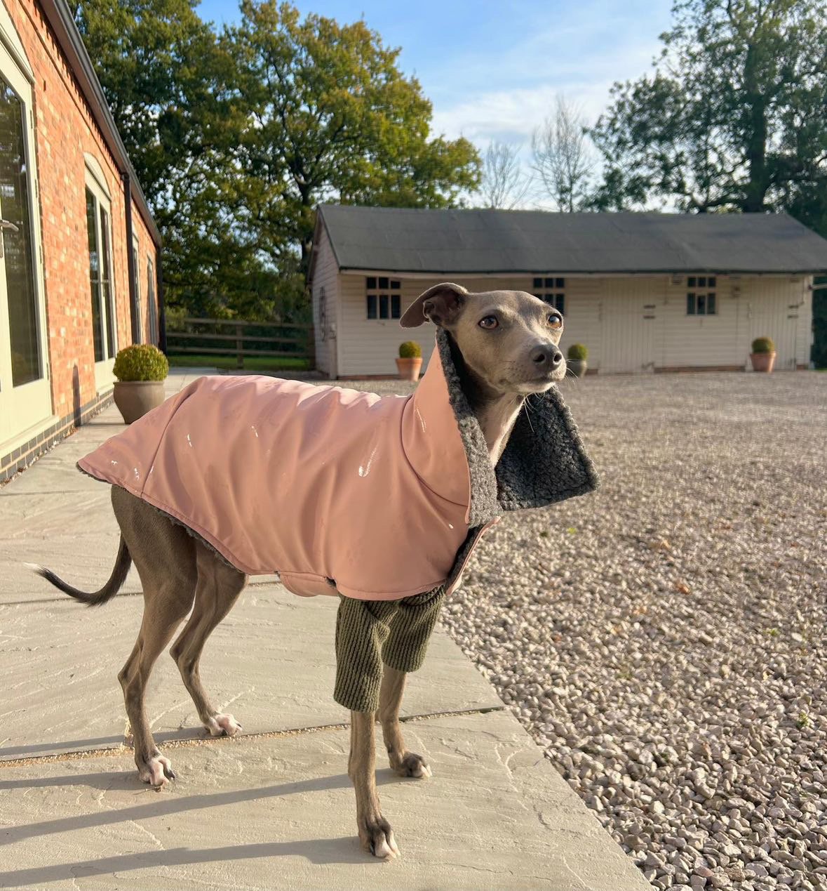 Rain Mac - Pink Submarines & Boucle Fleece Lining