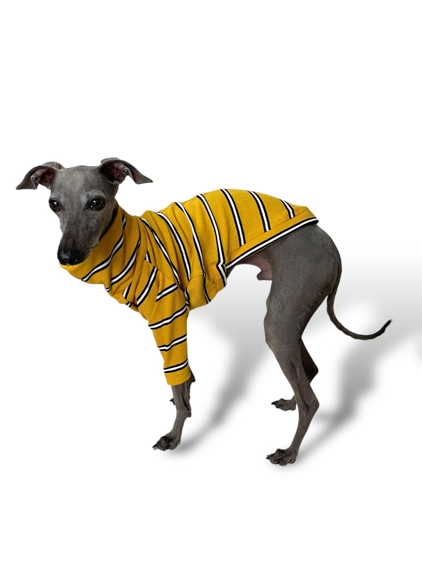 Ribbed Jersey T-Shirt - Yellow Stripe