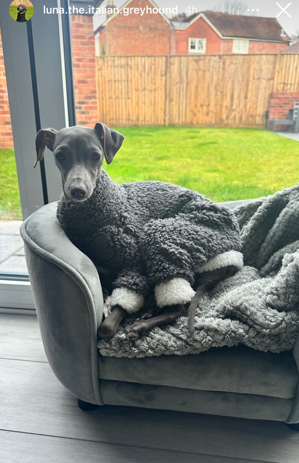 Cuddle Fur Fleece Suit - Light Grey