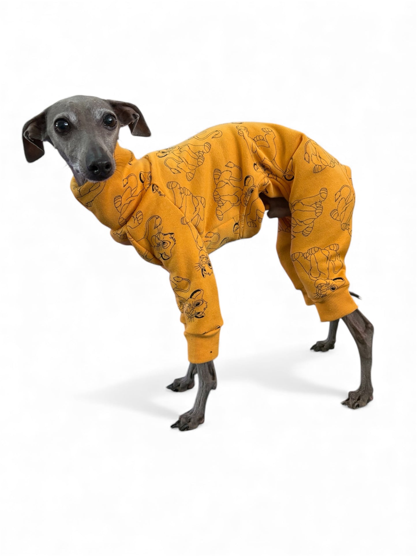 Recycled Sweatshirt Suit - Lion King