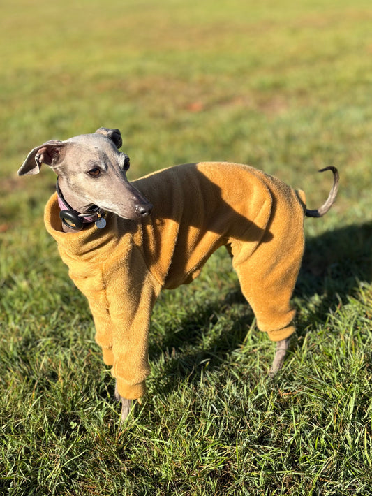 Fleece Lined Sweatshirt - Honey Yellow