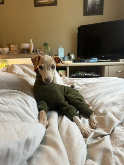 Fleece Lined Sweatshirt - Olive