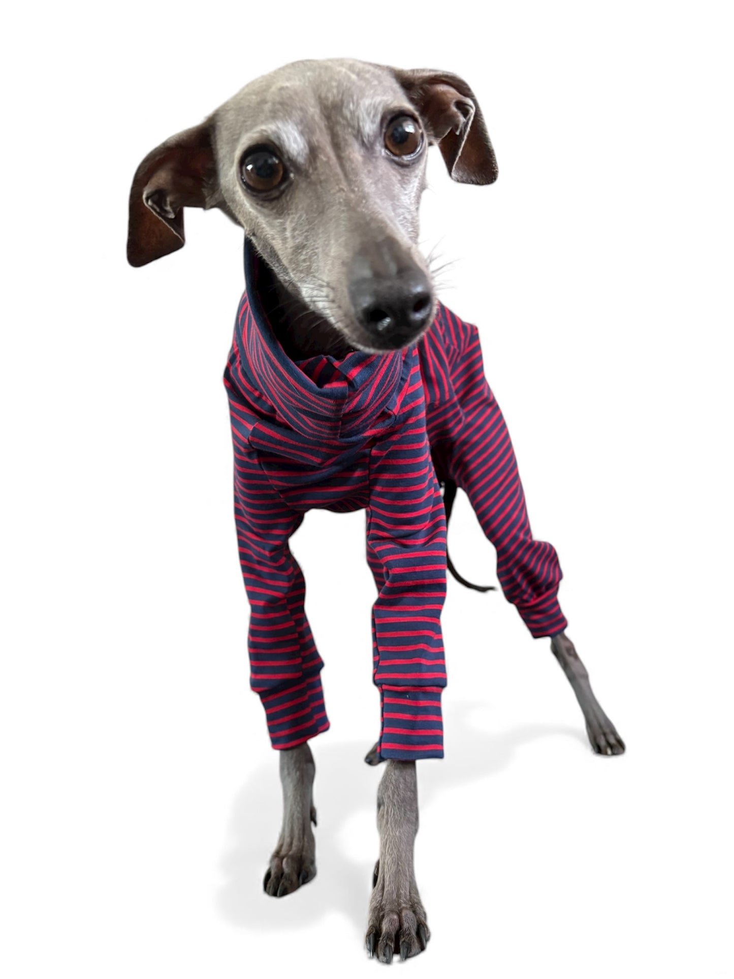 Jersey Suit - Blue & Red Stripe