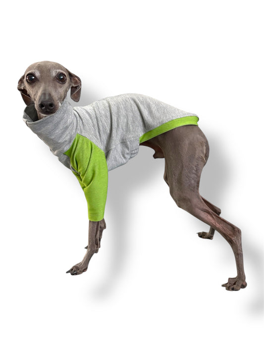 Raglan Sweatshirt - Green