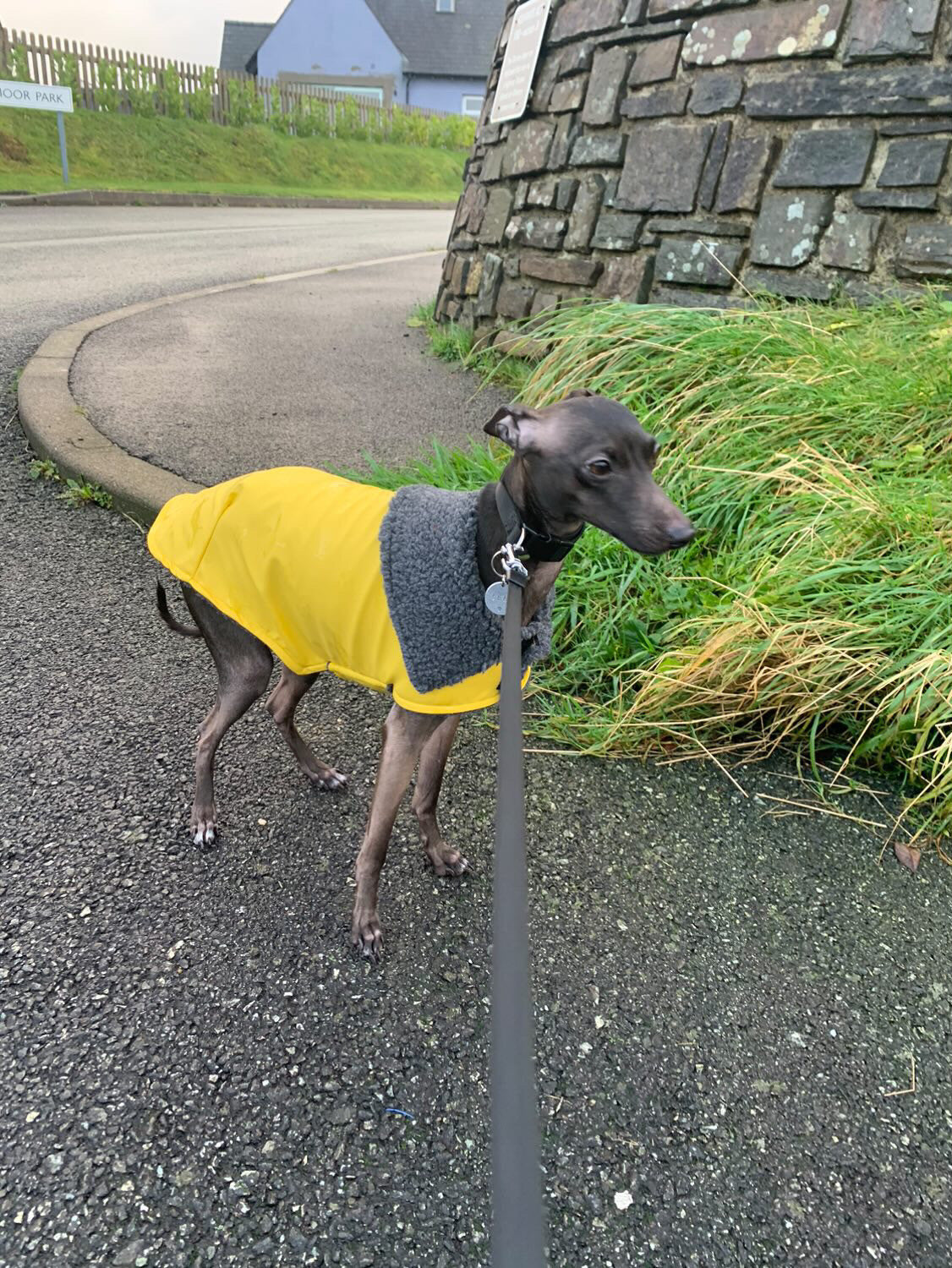 Rain Mac - Yellow Starfish & Boucle Fleece Lining