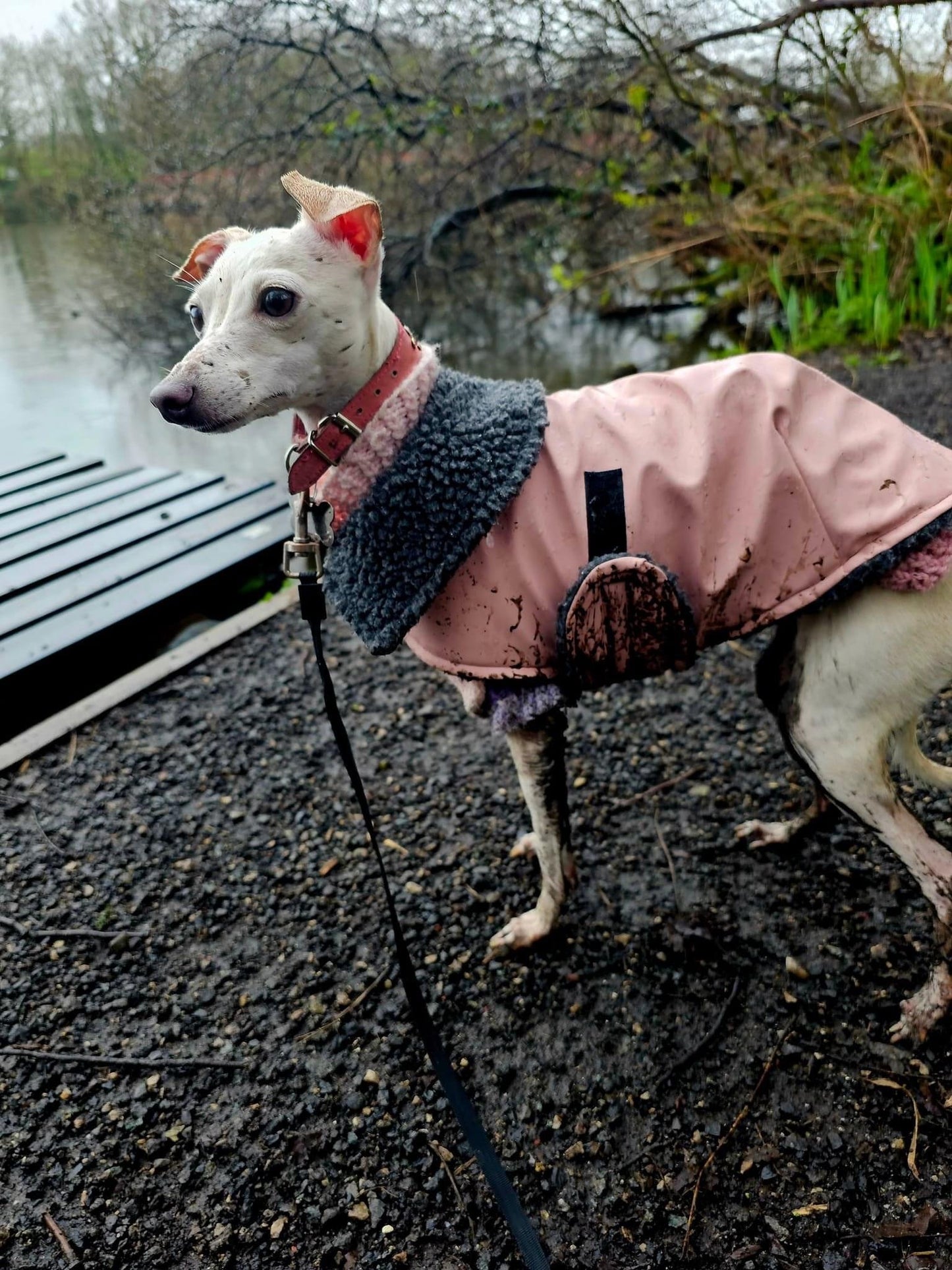 Rain Mac - Pink Submarines & Boucle Fleece Lining