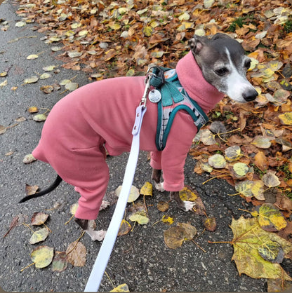 Fleece Lined Sweatshirt - Bubblegum Pink