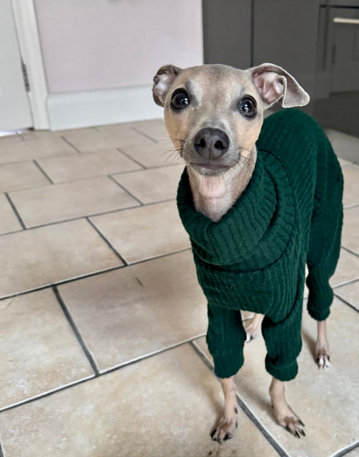 Ribbed Jersey Suit - Bottle Green