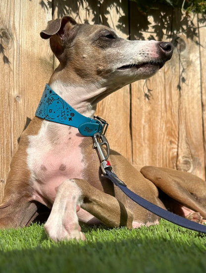 Leather Collar - Constellations