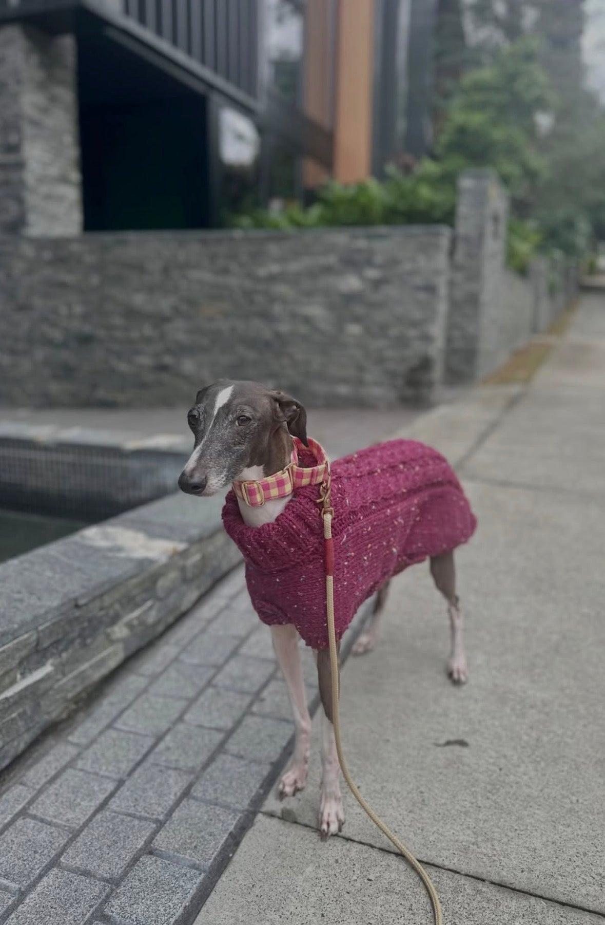Knitted Coat - Button Up - Speckled Plum