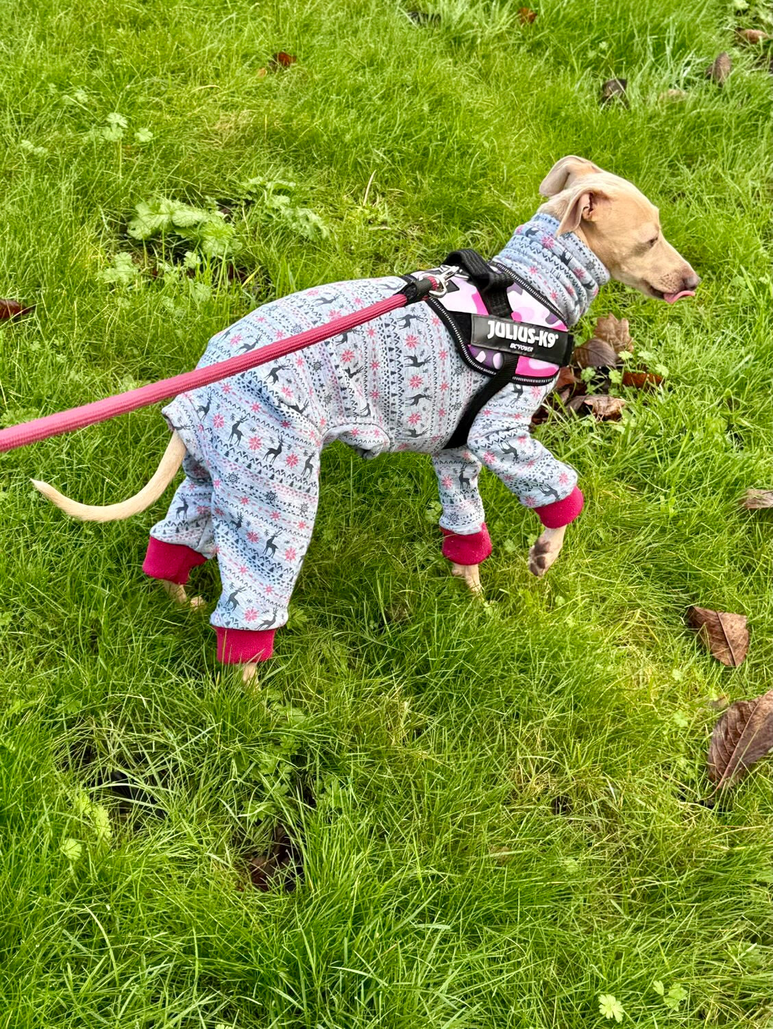 Christmas Fleece Lined Sweatshirt - Fair Isle Reindeers