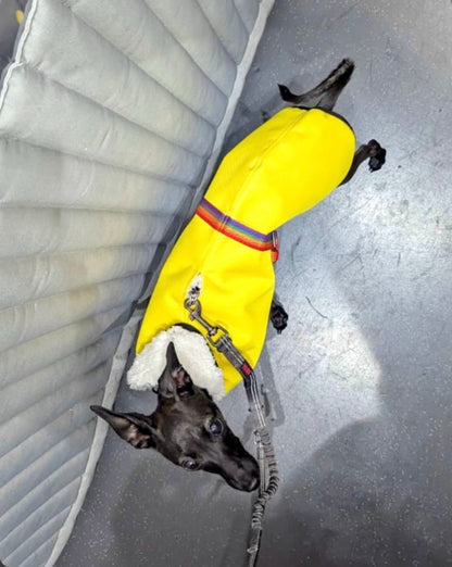 Waterproof Rain Mac - Yellow