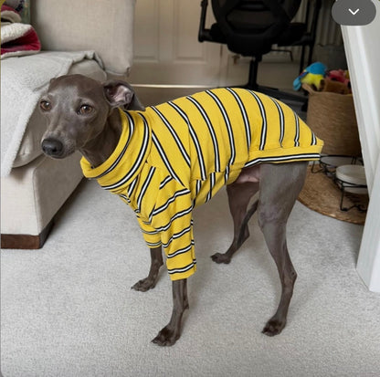 Ribbed Jersey T-Shirt - Yellow Stripe