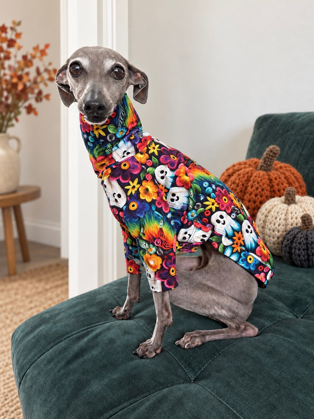 Jersey T-Shirt - Halloween - Spirit Garden