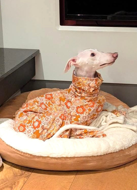 Jersey Suit - Retro Floral - Orange