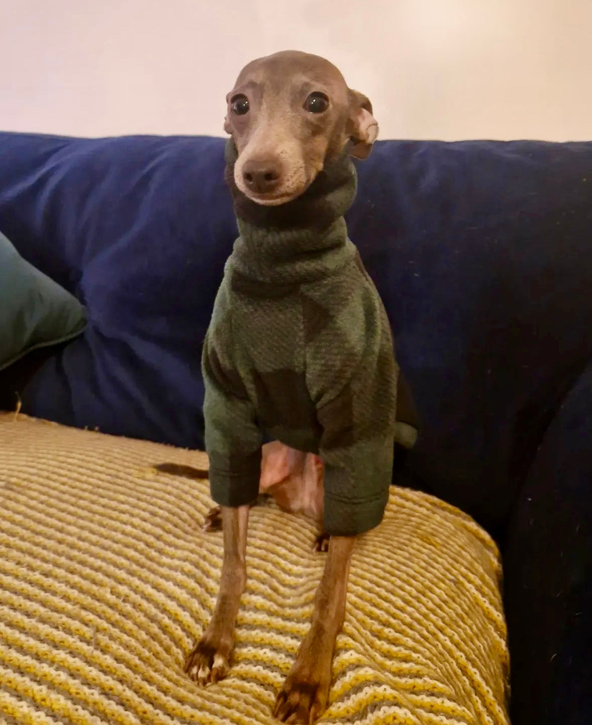 Fleece Jumper - Green Check