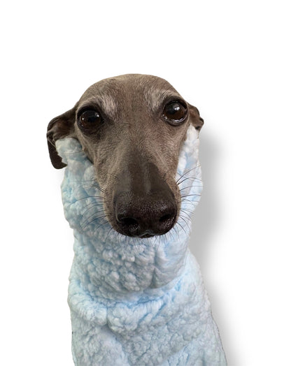 Cuddle Fur Fleece Suit - Baby Blue
