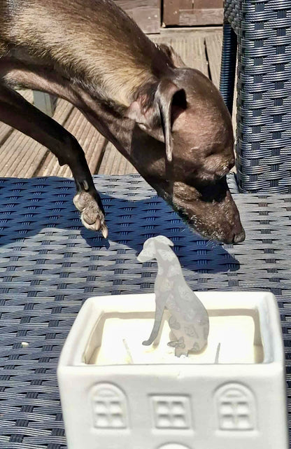 Sighthound Candle Stake