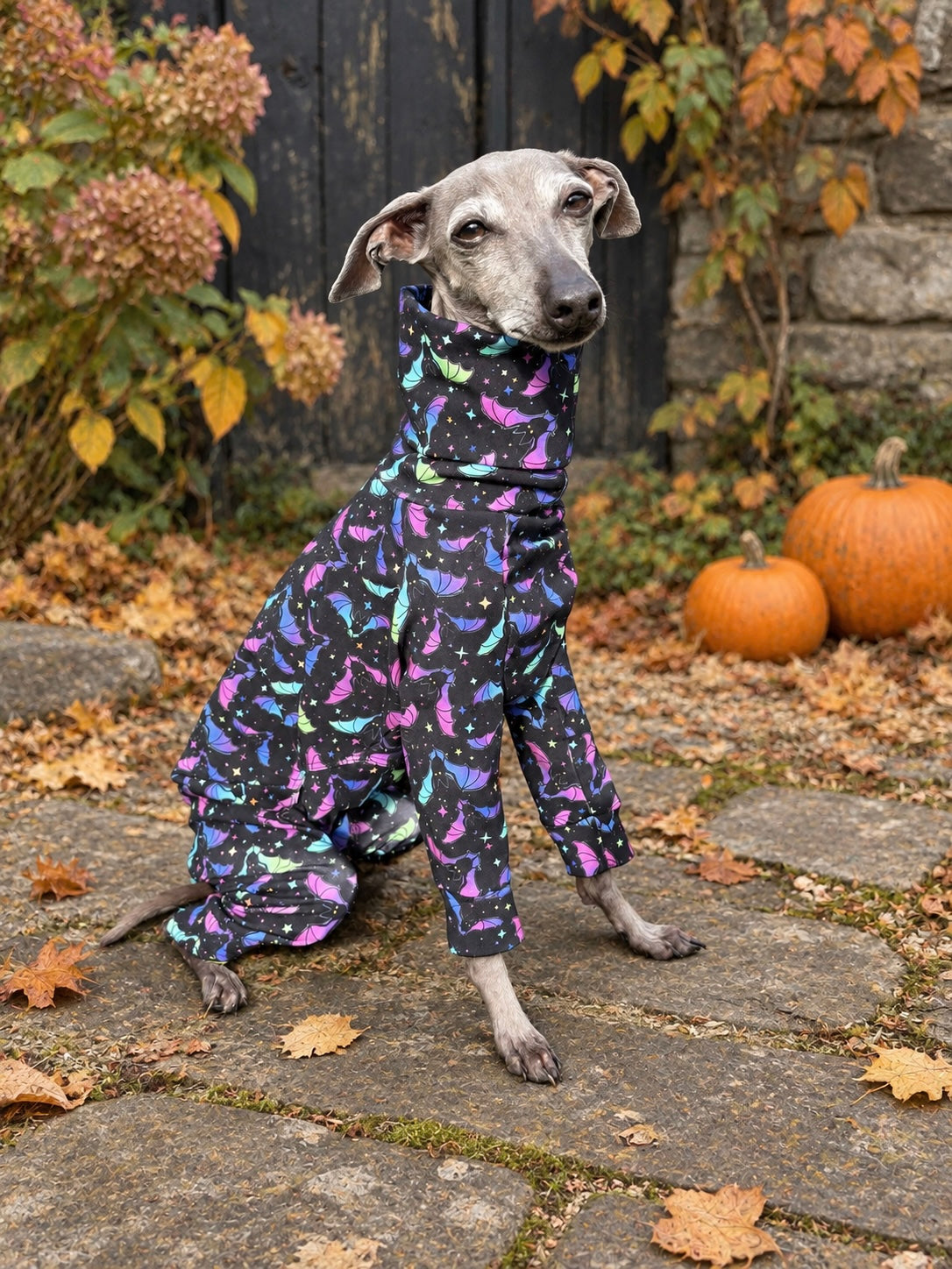 Jersey Suit - Halloween - Flapping About