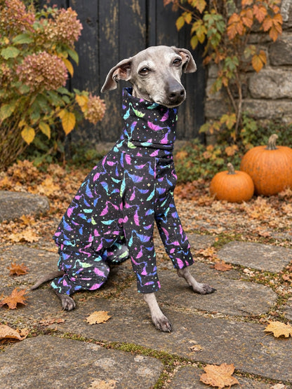 Jersey Suit - Halloween - Flapping About