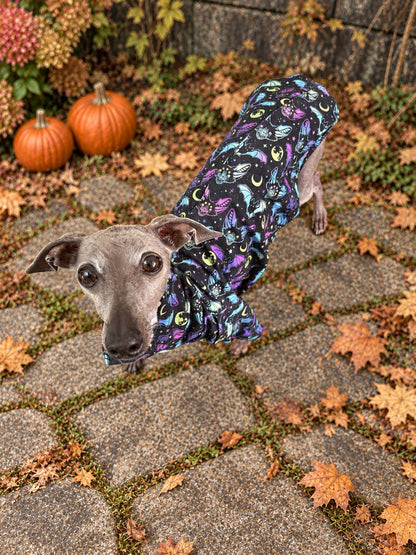 Jersey T-Shirt - Halloween - Bat Mischief