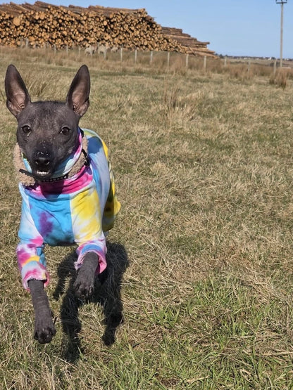 Jersey Suit - Rainbow Tie Dye