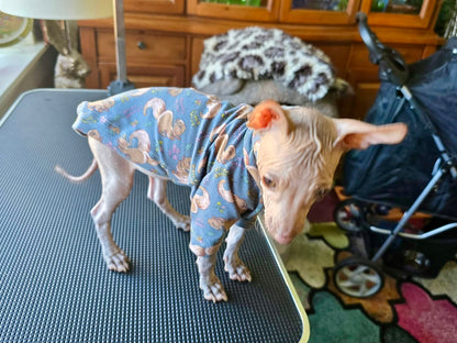 Jersey T-Shirt - Squirrel!