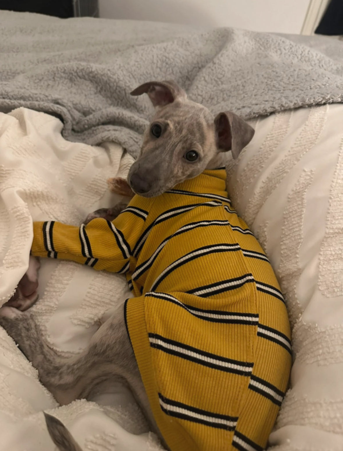 Ribbed Jersey T-Shirt - Lilac Stripe